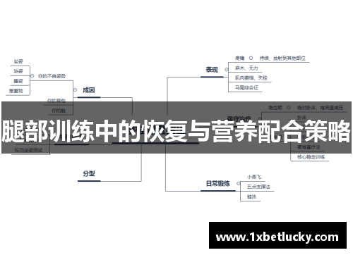 腿部训练中的恢复与营养配合策略